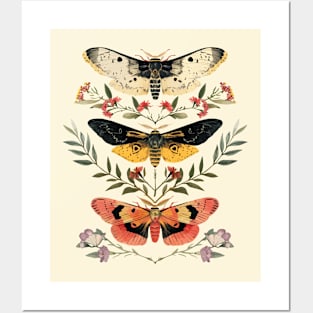 Moths and flowers Posters and Art